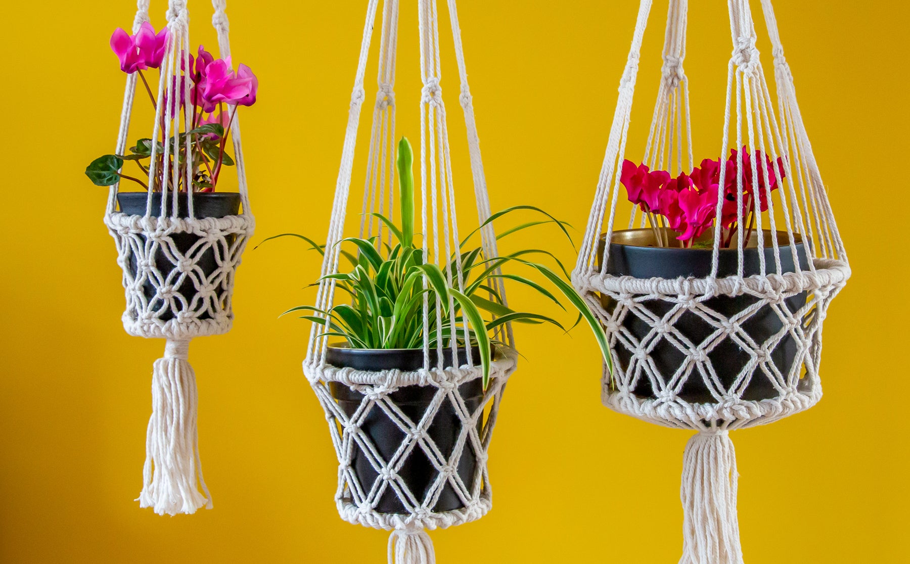 Macrame Hanging Planters