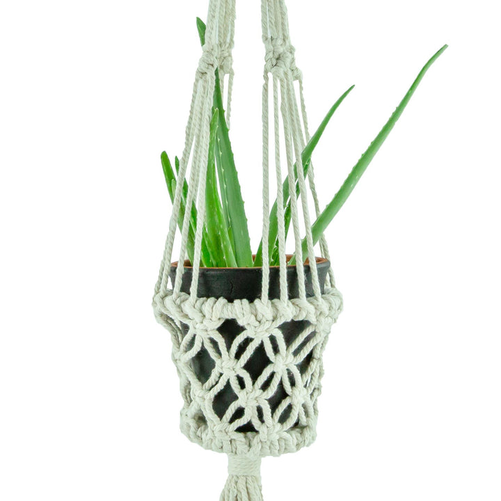 Macrame Hand Woven Rope Hanging Planter - Small (9cm Pot)